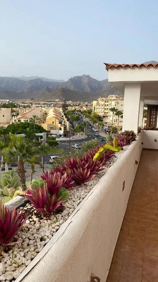 Cozy Apartment Close To Fanabe Beach, Tenerife Costa Adeje